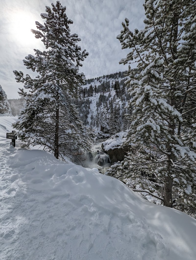 Snowy trail through pines beside Firehole Falls in Yellowstone National Park, with frosty trees and a cascading stream.