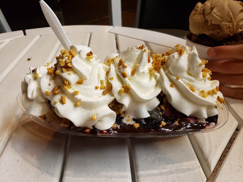 Whipped cream swirls with nut topping over berry compote on a plate at an outdoor table in Acadia National Park.