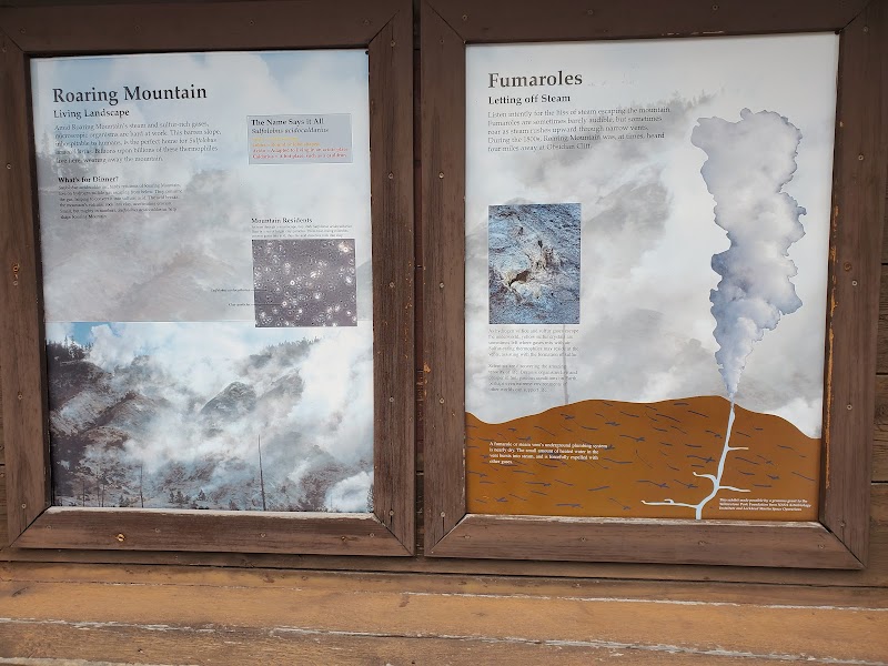 Two wooden information panels in Yellowstone National Park show Roaring Mountain landscape and a steam-emitting fumarole illustration with terrain diagram.