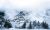 Roaring Mountain in Yellowstone National Park emits steam over a snow-covered slope dotted with pine trees.