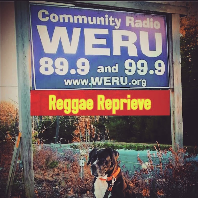 Orland area in Acadia National Park with a dog sitting beside a blue radio sign during fall.