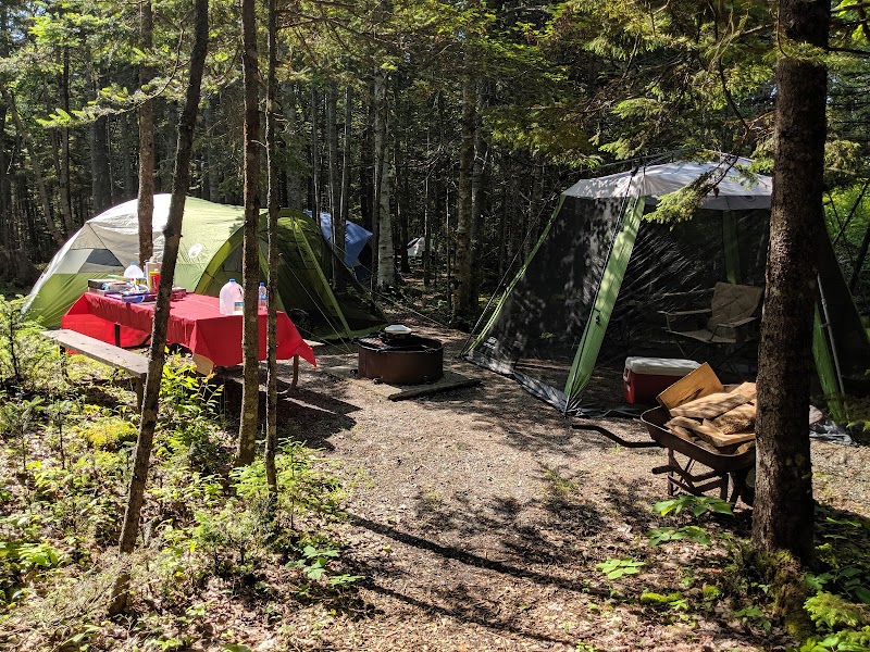 Tents line a forest campsite with a red-clothed picnic table, a central fire pit, and wood chairs at Acadia National Park.