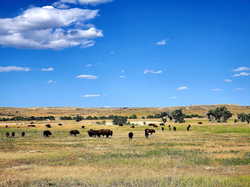 Guest reserving a campsite at the front desk