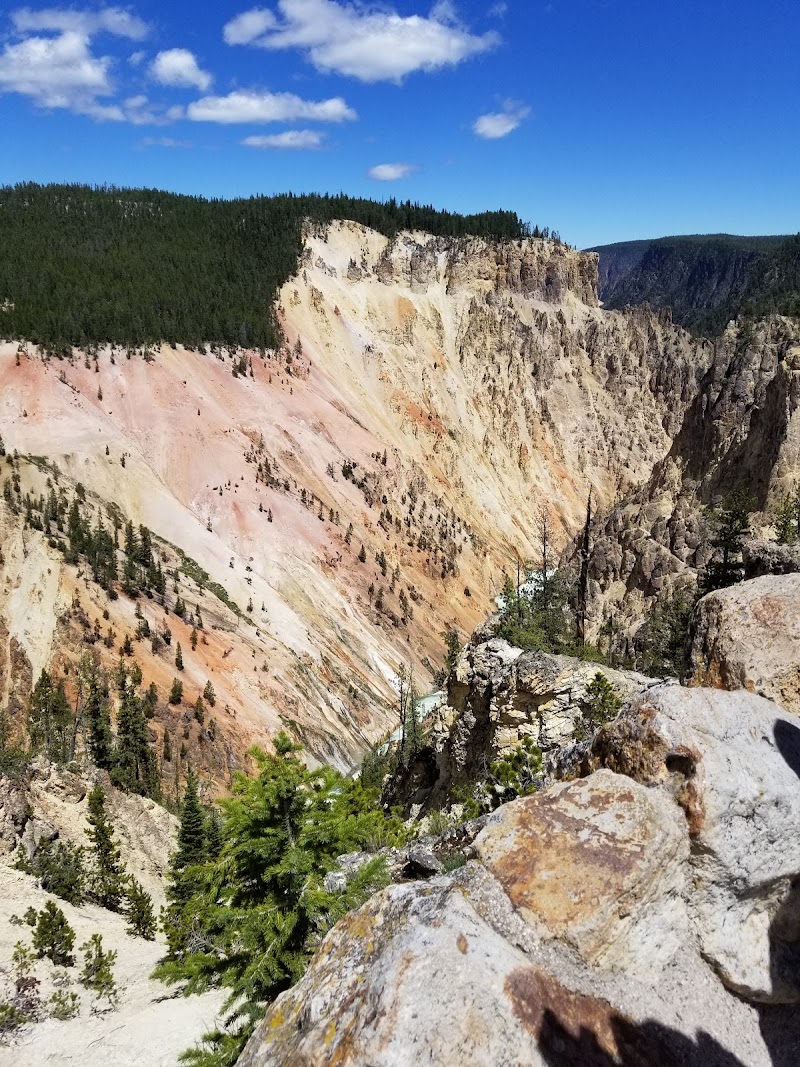 Colorful canyon walls along Madison River in Yellowstone National Park, with pine trees, rocky ledges, and a blue sky.