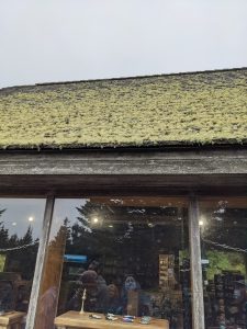 Mossy roof over a rustic storefront gift shop in Acadia National Park, with large windows reflecting visitors inside.