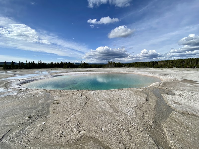 Turquoise mineral hot spring sits in a pale, sandy basin with distant pines and a blue sky in Yellowstone National Park.
