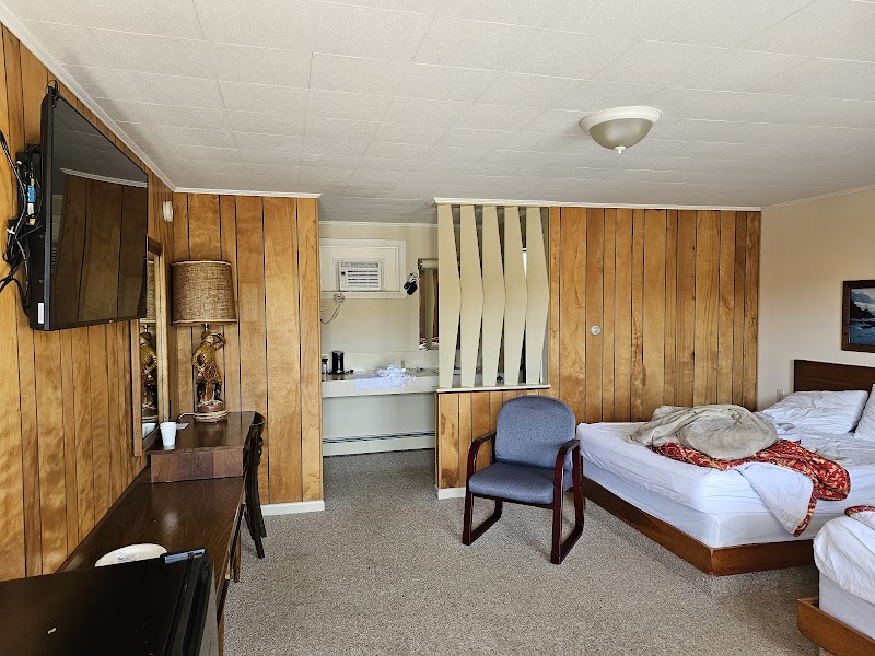 Interior motel room in Acadia National Park featuring wood paneling, a double bed, and a small desk.