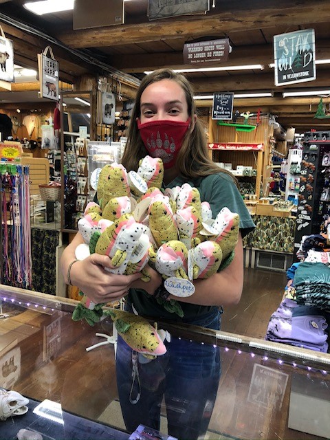 Person with a red mask holds a cluster of colorful plush ice cream cones inside a rustic Yellowstone National Park gift shop.