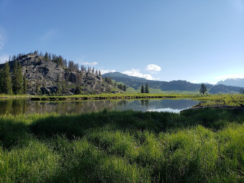 Rocky hillside with pines beside a calm, reflective river and bright green grasses at Slough Creek, Yellowstone National Park.