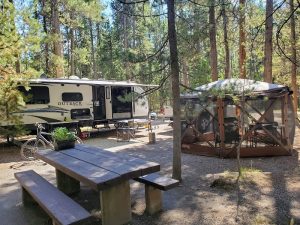 Exterior view of the campground entrance with pine trees and a wooden sign