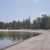 Lakeside shoreline at Rainbow Point Campground in Yellowstone National Park, with calm water and a pine forest backdrop.