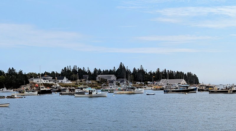Lunch on the Wharf scene at Acadia National Park with a harbor, boats anchored near a shore of cottages and trees.