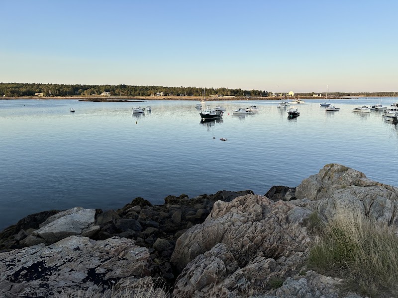 Gouldsboro Harbor view in Acadia National Park shows calm water, anchored boats, and rocky shoreline.