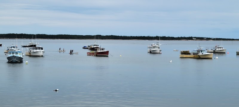 Gouldsboro harbor in Acadia National Park with moored boats and tranquil blue water.