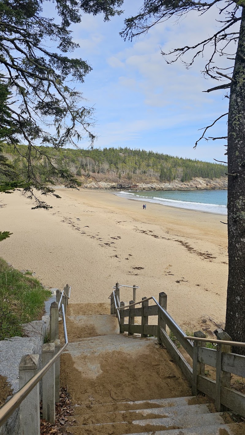 Sand Beach at Acadia National Park stretches along the shore, framed by pines, with a sandy shoreline and blue Atlantic in view.