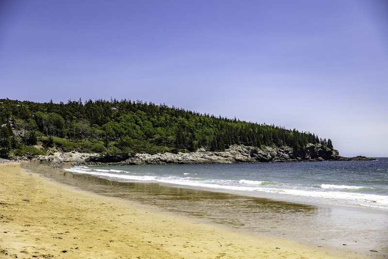 Sand Beach at Acadia National Park showcases golden sands meeting the blue Atlantic, framed by pine-covered headlands.