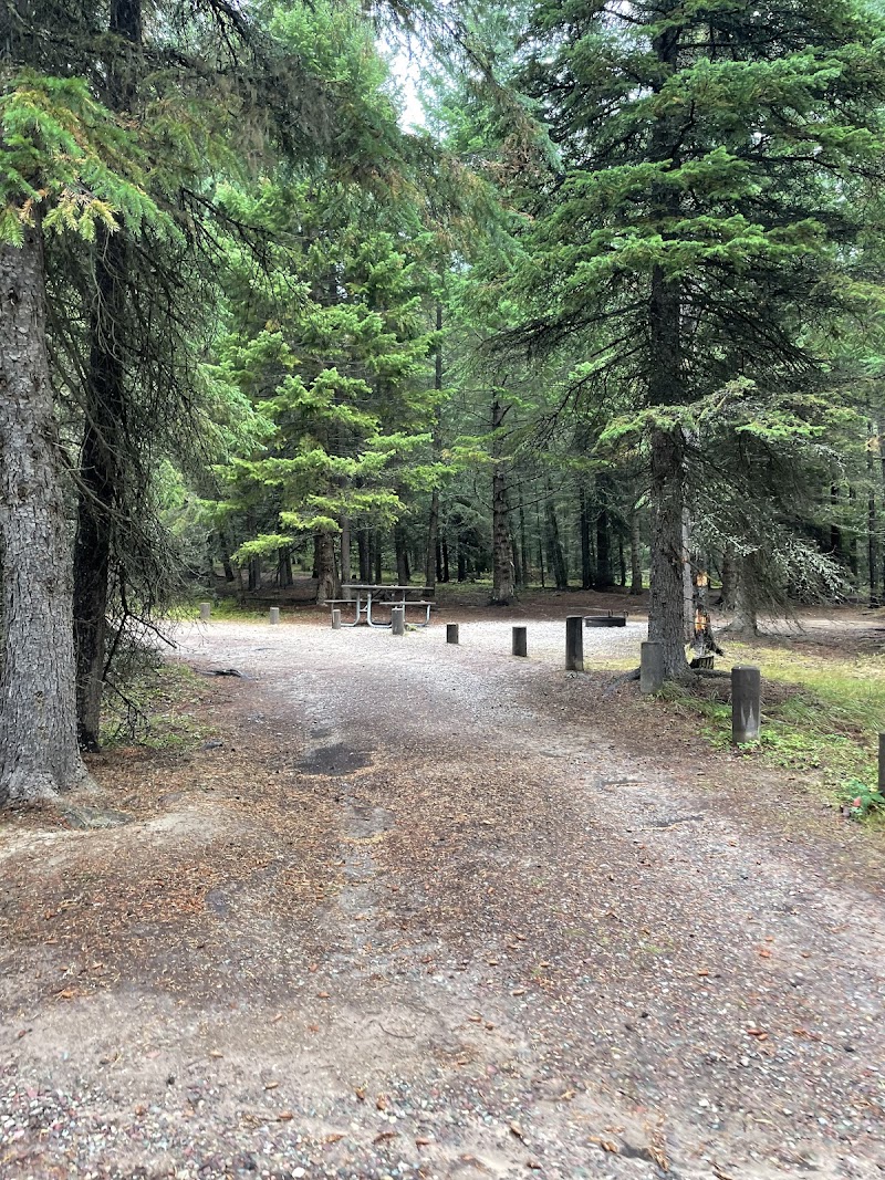 Gravel campground path lined by evergreen trees with a picnic table and wooden posts in Glacier National Park.