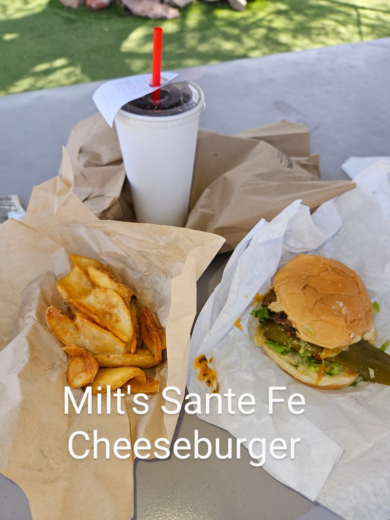 Cheeseburger with toppings and seasoned fries at a quick-service stop in Arches National Park on a sunny picnic table.