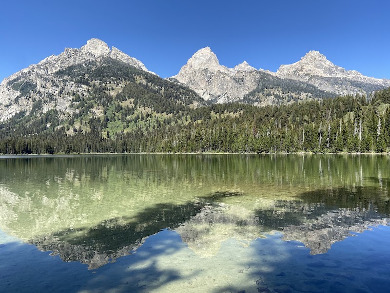 Calm alpine lake reflecting pine forests and jagged mountain peaks near Yellowstone National Park