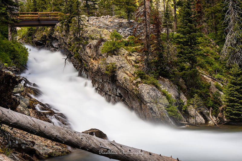 Swift mountain river cascading through a rocky gorge with pine trees near Yellowstone National Park
