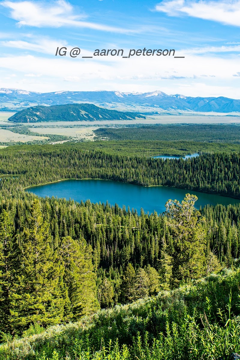 Turquoise alpine lake framed by pine forests and distant snow-capped mountains near Yellowstone National Park