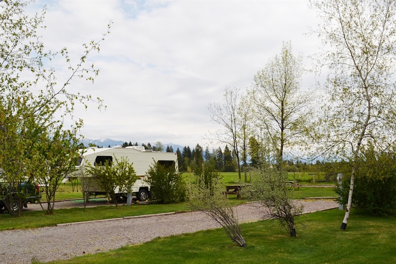 Camper trailer parked beside a gravel road in a grassy Glacier National Park campground, with young trees and distant mountains.
