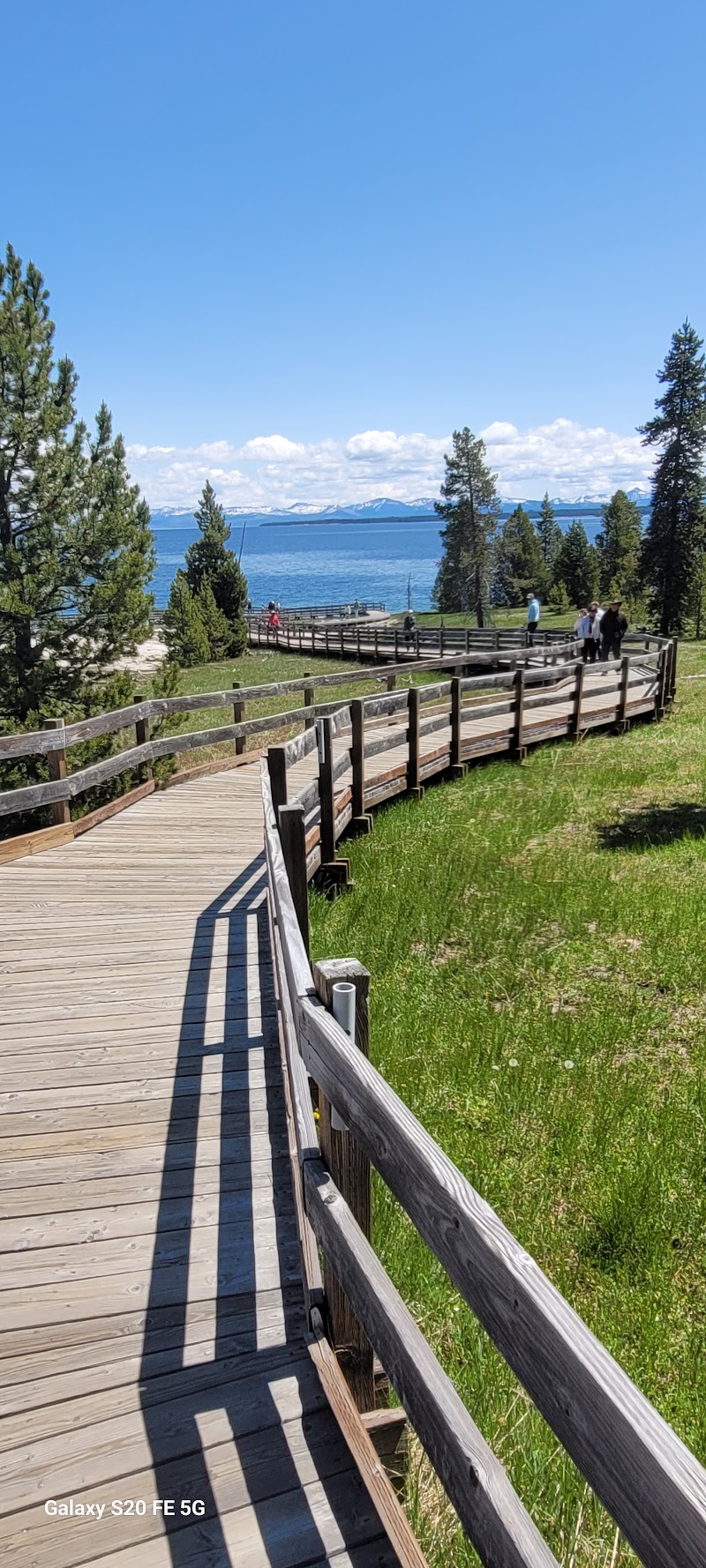 Wooden boardwalk snakes through grassy pines toward a blue lake with distant snow‑capped mountains in Yellowstone National Park.