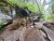 Columbia Mountain Trailhead at Glacier National Park shows a mossy rock ledge with a small waterfall and a rocky, wet trailbed.