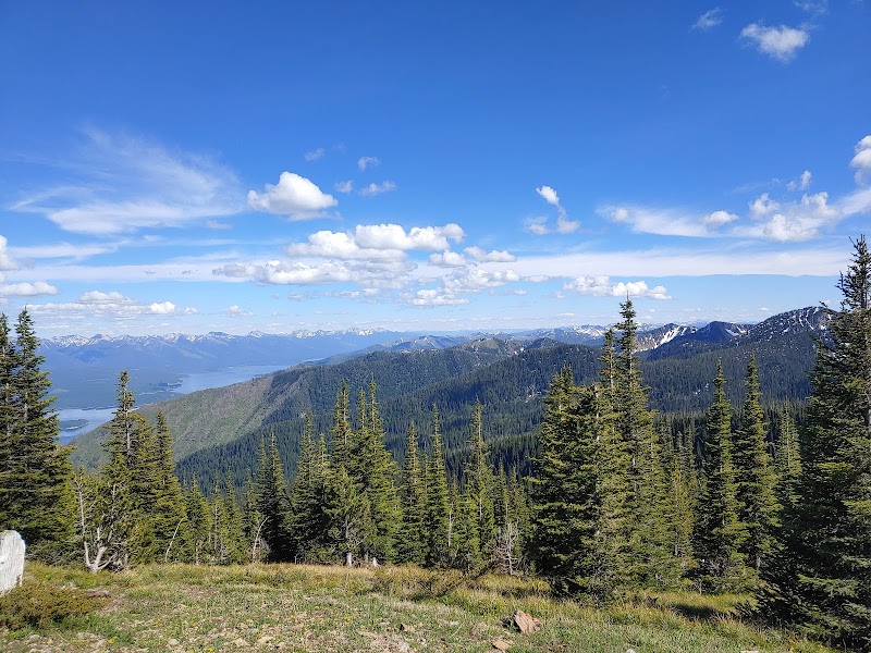 Columbia Mountain Trailhead overlook in Glacier National Park reveals forested slopes and snow-capped peaks.