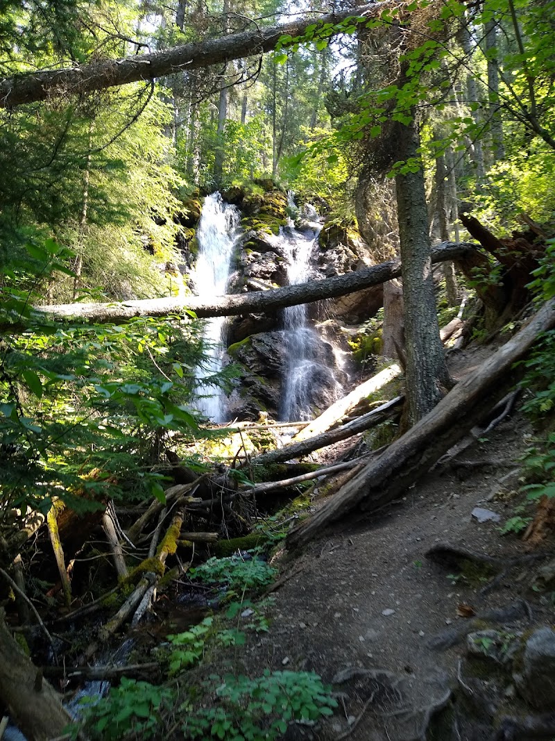 Columbia Mountain Trailhead at Glacier National Park reveals a forest trail with a mossy waterfall cascading over rocks.