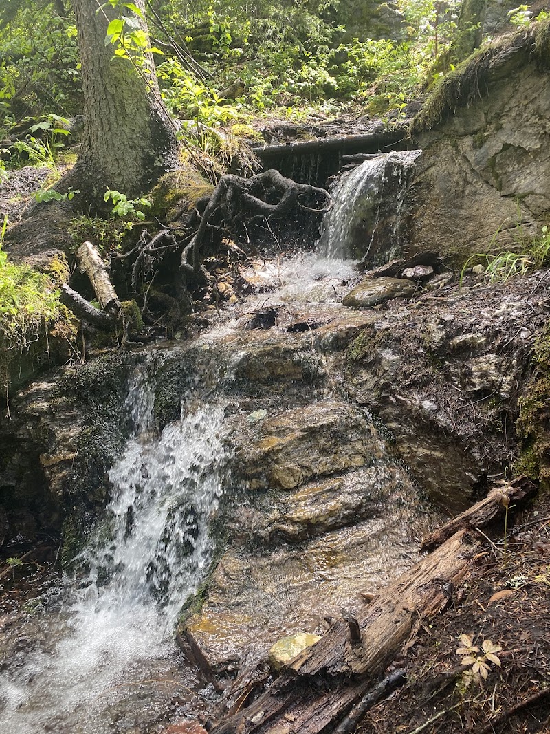 Columbia Mountain Trailhead scene in Glacier National Park shows a rocky waterfall along a forested trail.
