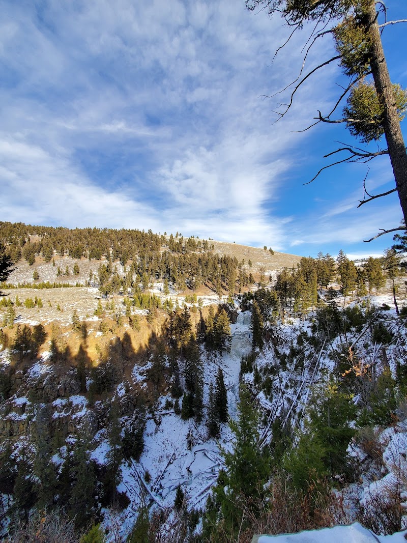 Snow-dusted valley and evergreen forest with a bright blue sky in Yellowstone National Park.