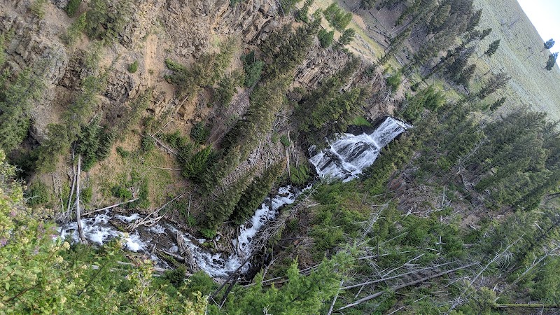 Undine Falls in Yellowstone National Park cascades through a rocky, pine-covered canyon with steep slopes and rushing water.