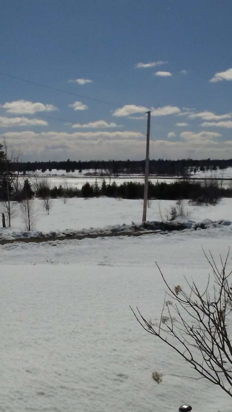 Snowy field with a lone utility pole near Lamoine in Acadia National Park, Maine, under a bright blue winter sky.