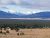 Gneiss Creek landscape with pine forest and distant snow‑capped peaks in Yellowstone National Park.