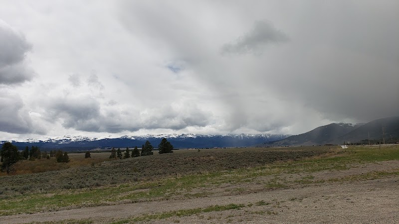Gravel trail through Yellowstone National Park opens to a grassy plain with scattered trees and snow-capped mountains under cloudy skies.