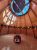 Circular cedar interior of a visitor center with a glass skylight dome overhead and sunlit wood panels in Acadia National Park.