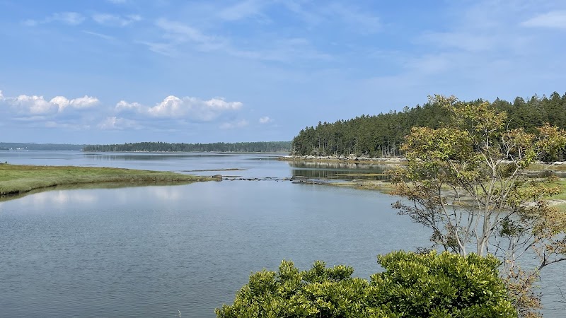 Trenton waterfront in Acadia National Park along a calm tidal inlet with pine fringe and blue sky.