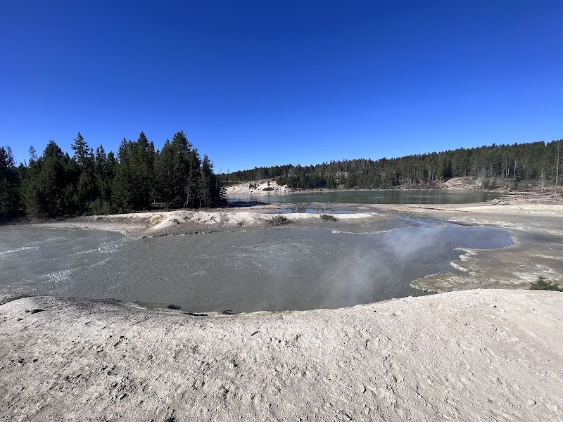 Yellowstone National Park's Sour Lake features a milky gray pool with steam rising from a mineral rim, encircled by sand and pines.