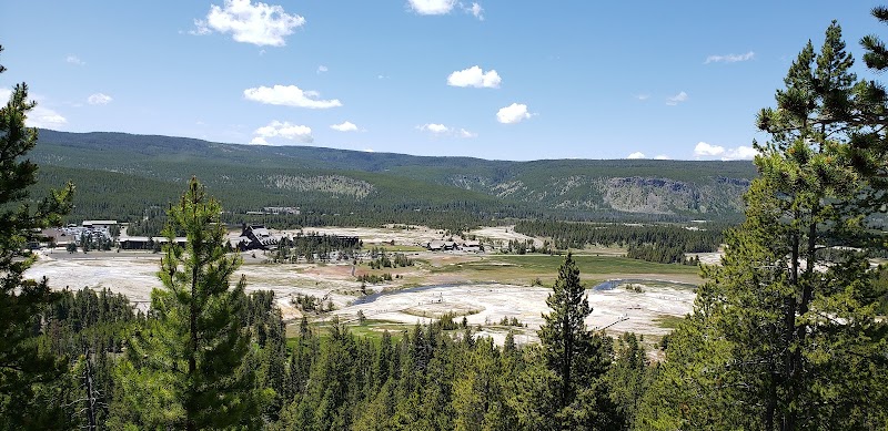 Wide valley with pale mineral flats and scattered buildings, bordered by pine forests in Sour Lake, Yellowstone National Park.