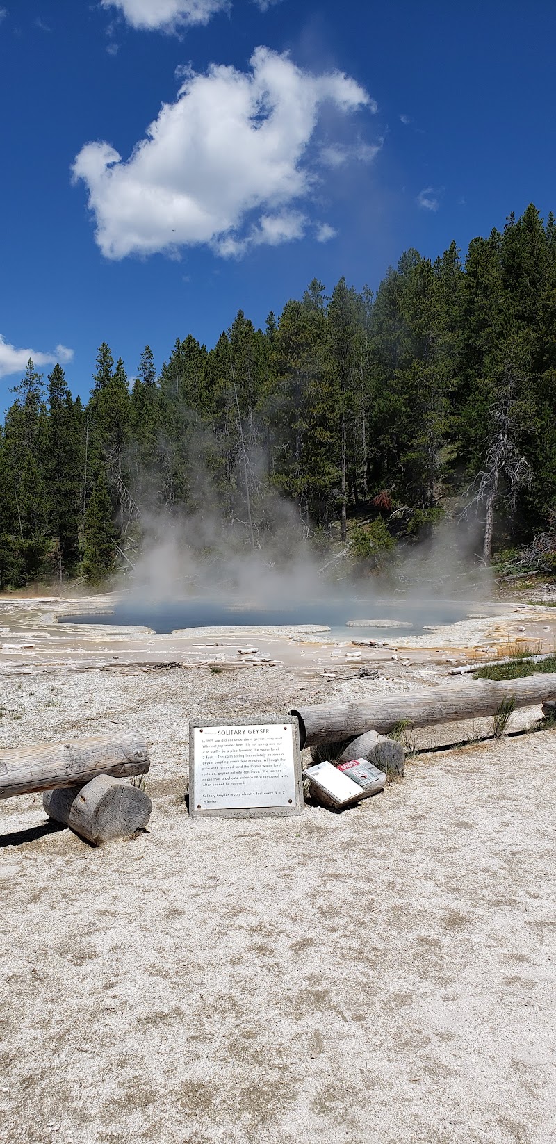 Sour Lake hot spring steams upward from a pale blue pool with a mineral crust, bordered by logs and a plaque in Yellowstone National Park.