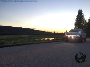 Google place N7kIUy0c 1767849018