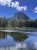 Broad river in foreground reflects a pine forest and a rounded granite peak under blue sky in Yellowstone National Park.