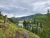 Seven Mile Bridge trail crosses a river valley with pine trees and distant canyon in Yellowstone National Park.