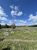 Seven Mile Bridge trail winds across a rocky meadow in Yellowstone National Park under bright blue skies.