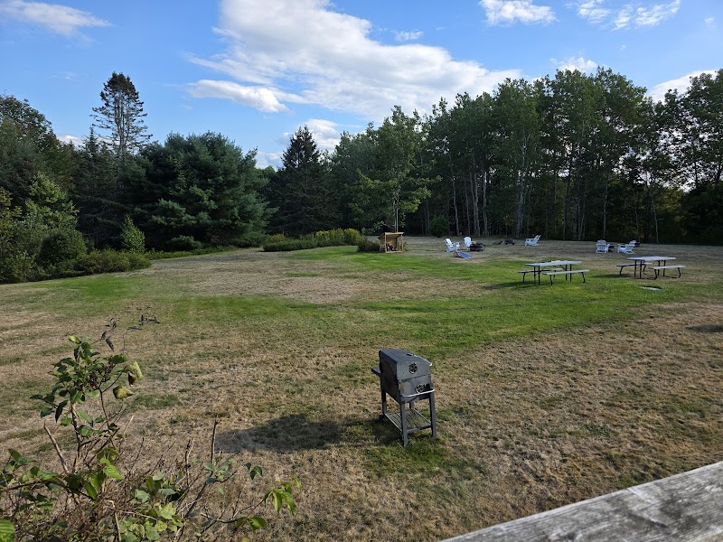Grassy lawn with a charcoal grill in the foreground, picnic tables and white chairs near a tree line in Acadia National Park.