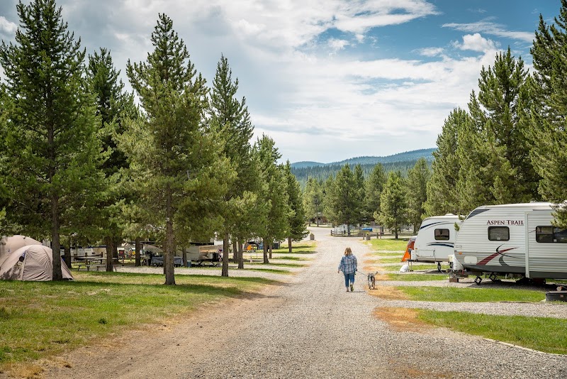Gravel campground road lined with tall pines in Yellowstone National Park, with tents, RVs, and a person walking a dog along a gravel path amid pines.