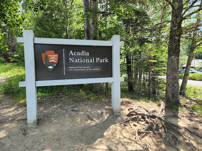 Sign for Acadia National Park featuring a dark plaque in a white frame, set among trees with visible tree roots.