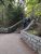 Two visitors ascend a stone stairway with a metal railing through a wooded area beside a low stone wall in Acadia National Park.