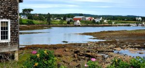 Winter Harbor in Acadia National Park—a coastal harbor town view with rocky foreground and calm water under a blue sky.